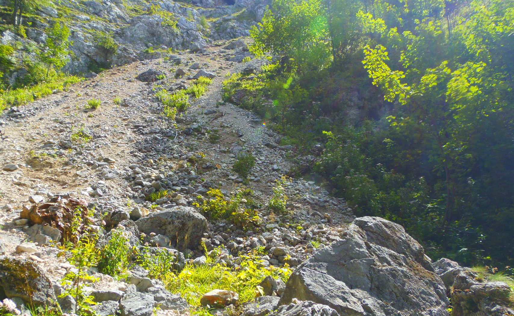 p9032206.JPG