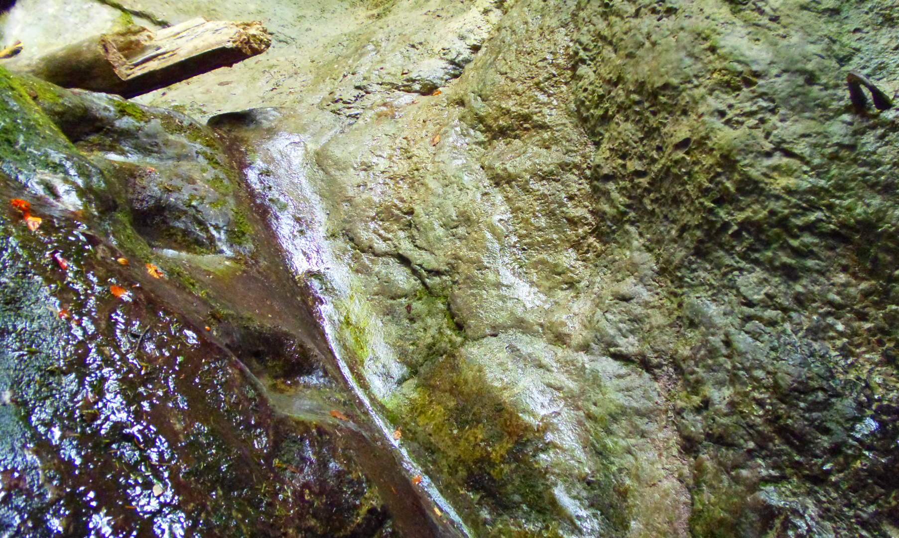 p9032226.JPG