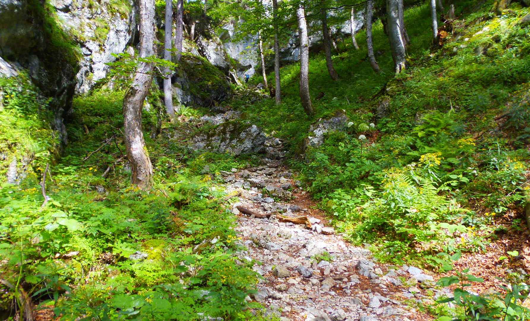 p9032236.JPG