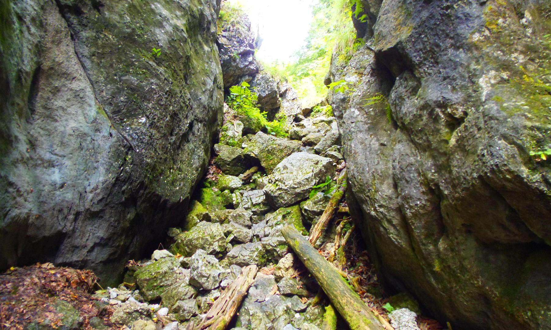 p9032243.JPG