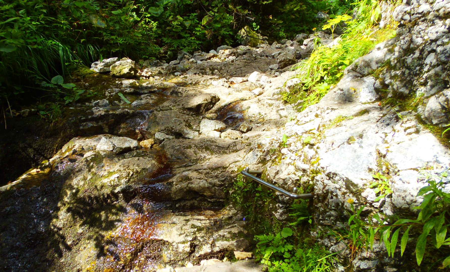 p9032258.JPG