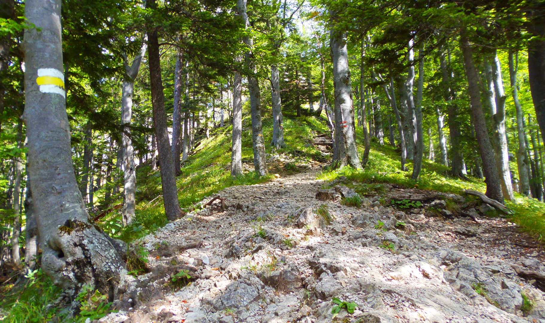 p9032277.JPG