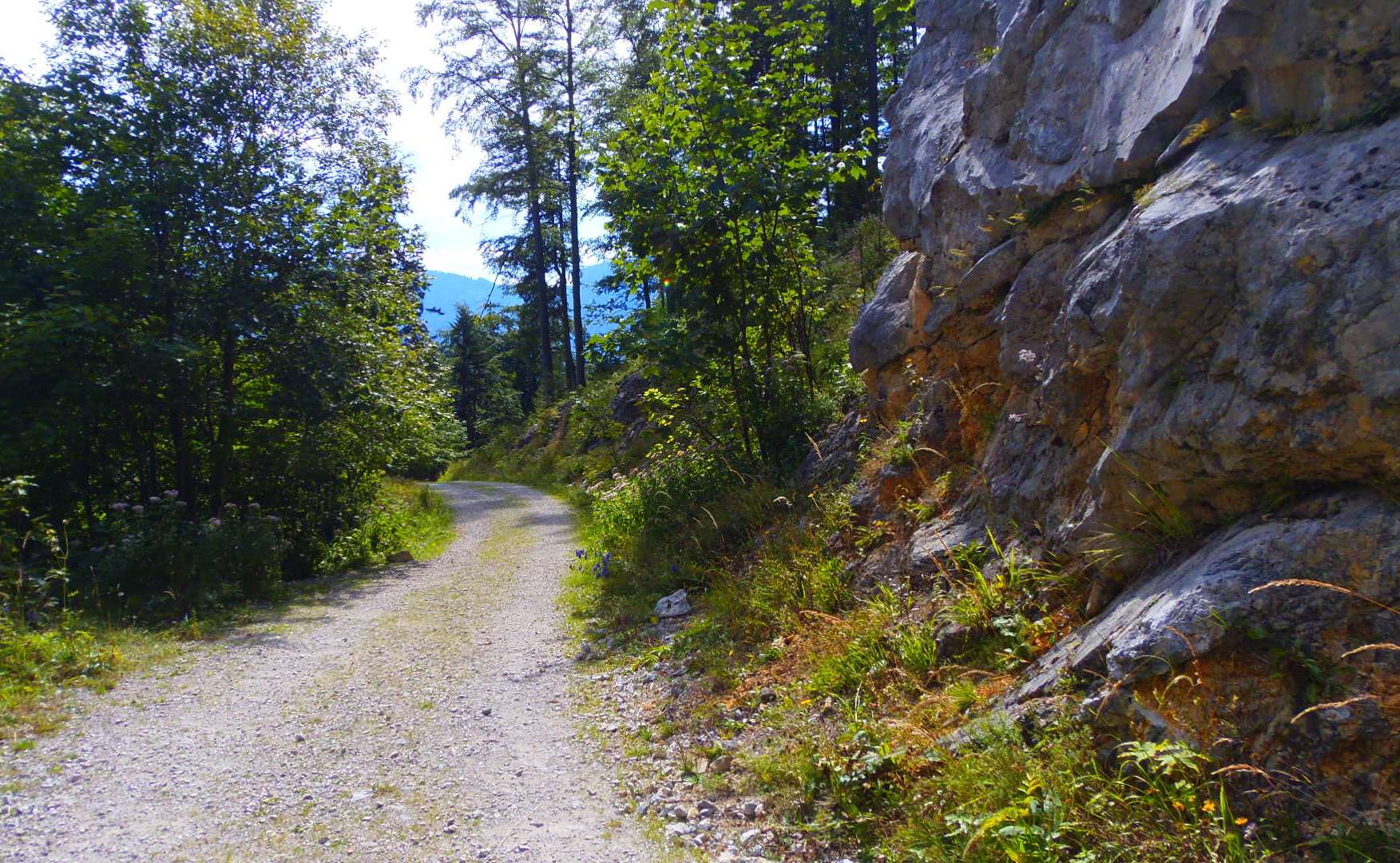p9032356.JPG