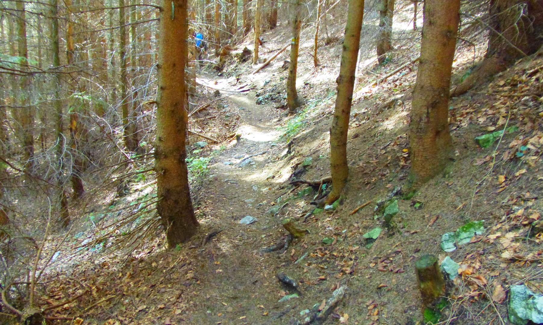 p9032364.JPG