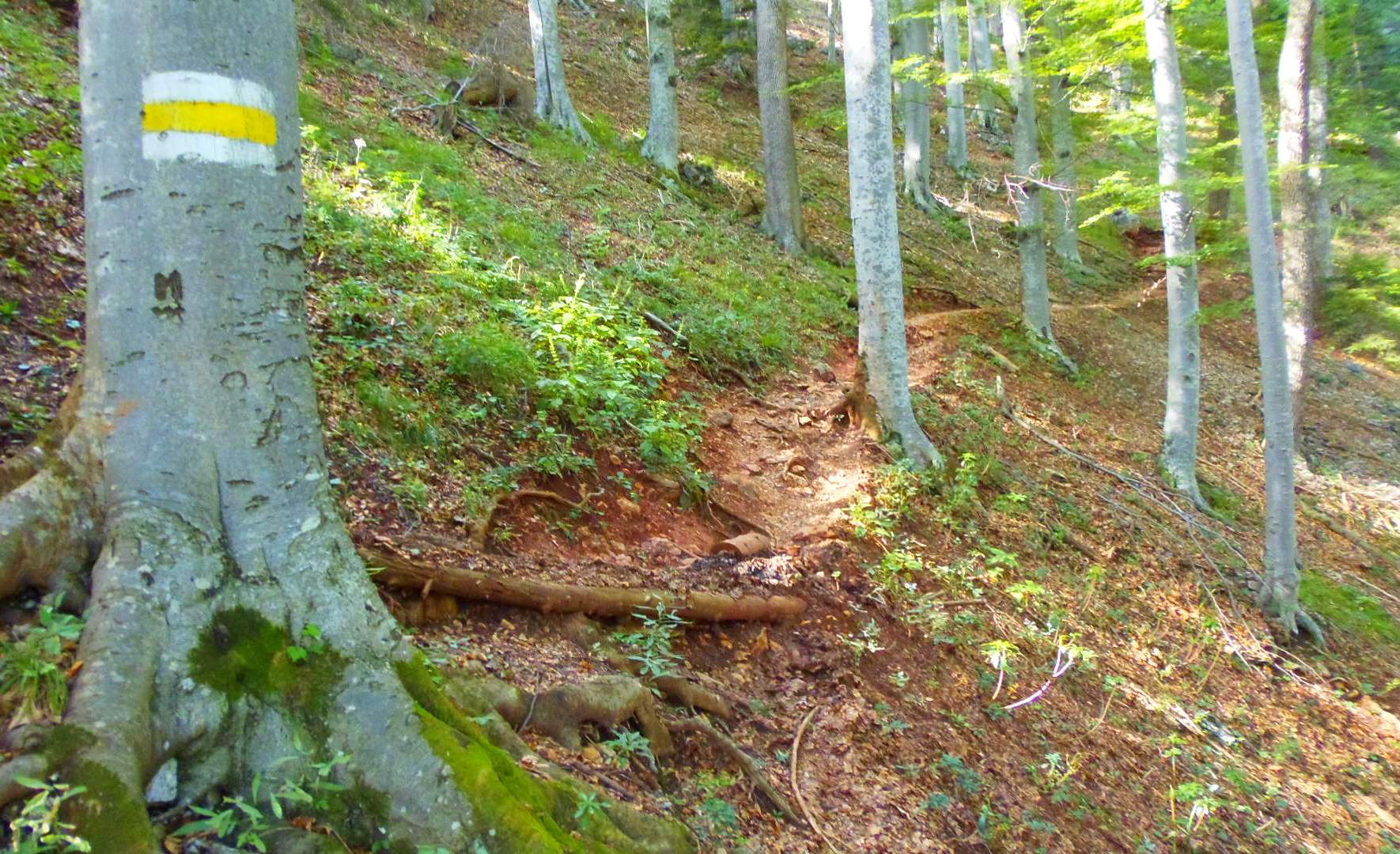 p9032371.JPG