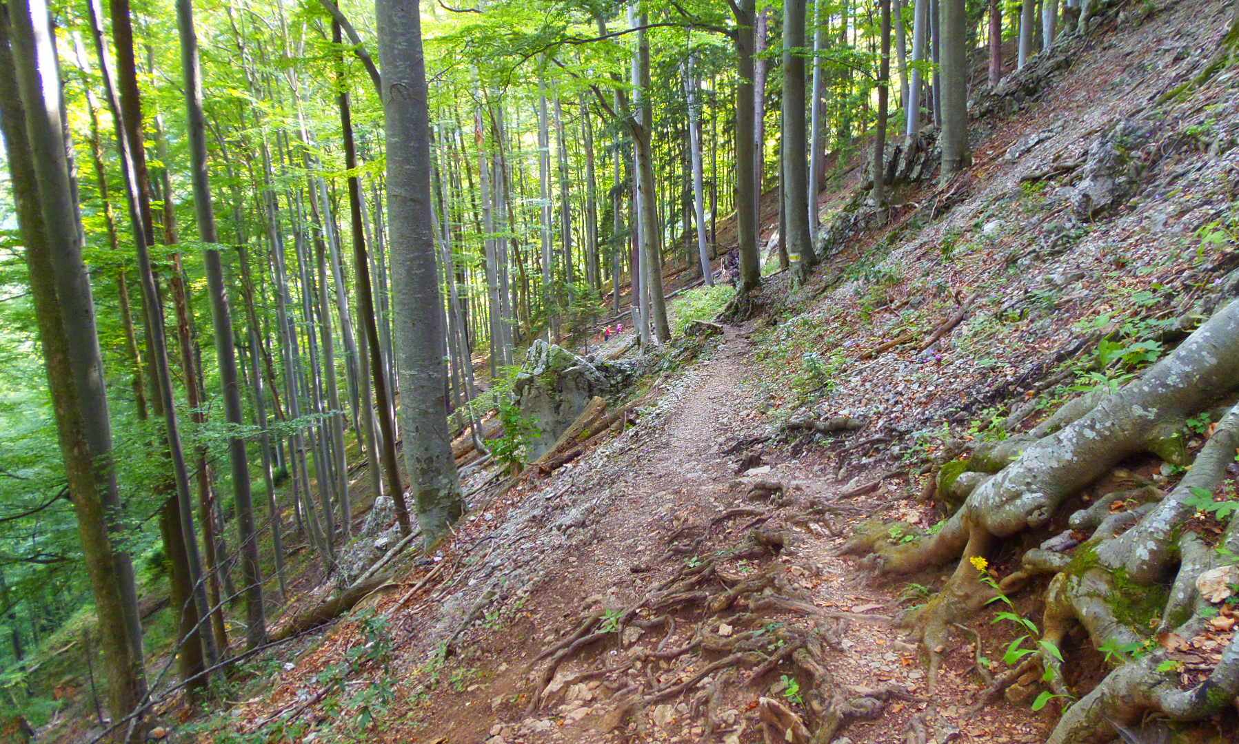 p9032374.JPG