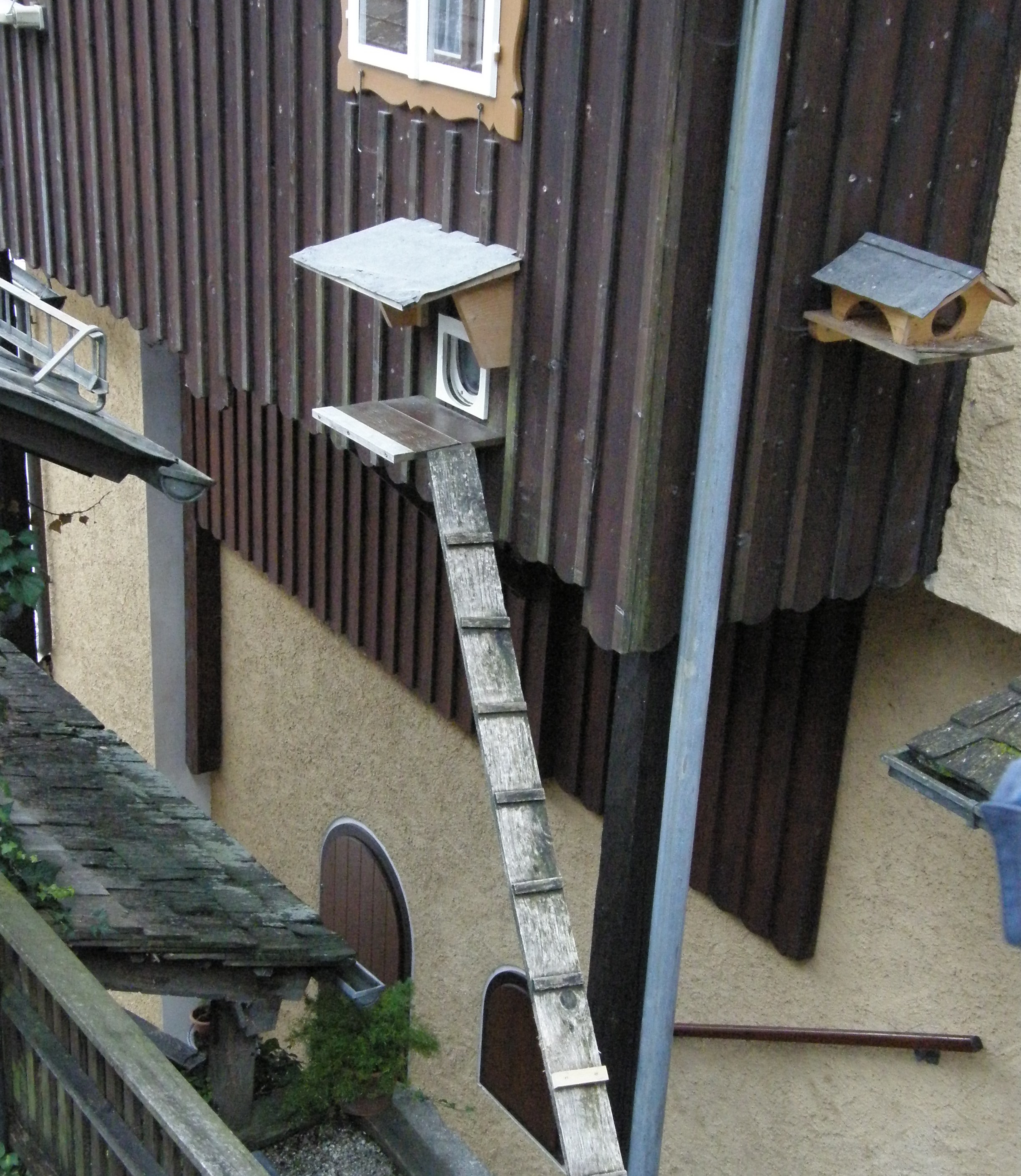 pa100227.JPG