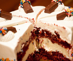 cake 4.jpg