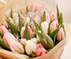 flowers4.jpg