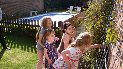 DSC00076.JPG