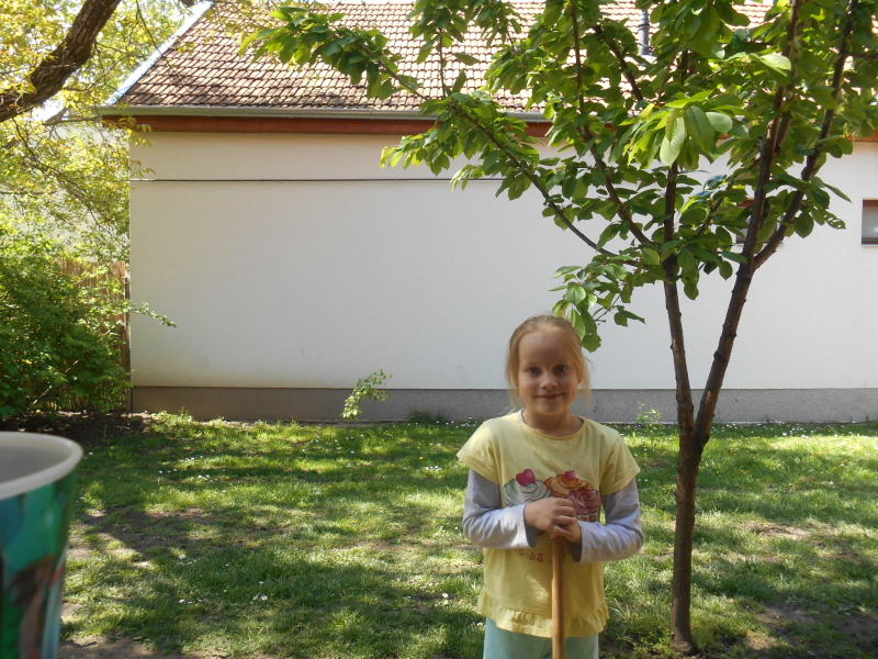 004.JPG