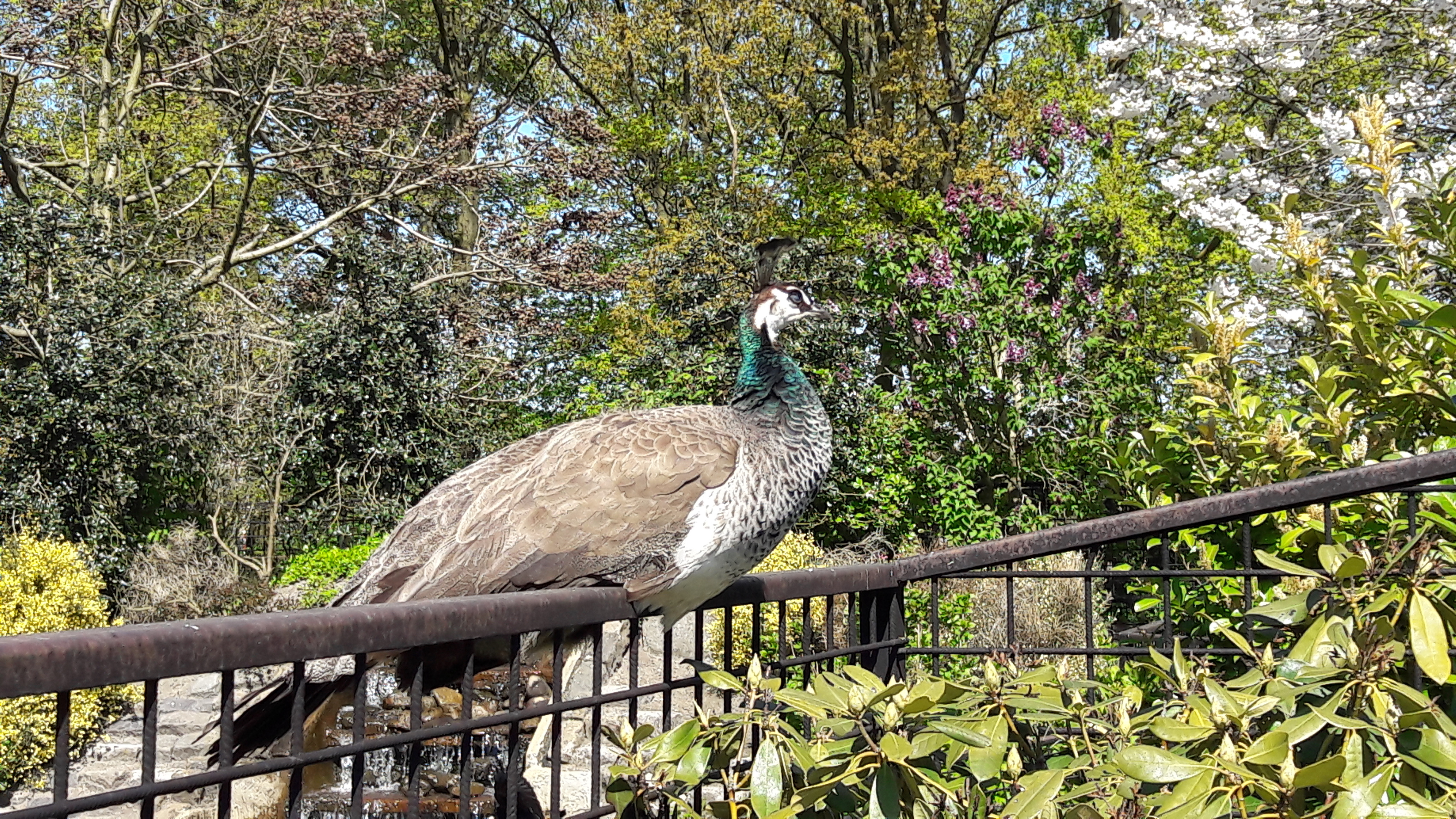 20160505_153735.jpg