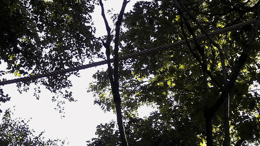 20160817_112732-animation.gif