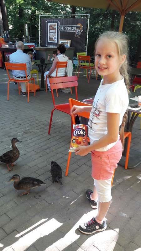 20160817_161844.jpg