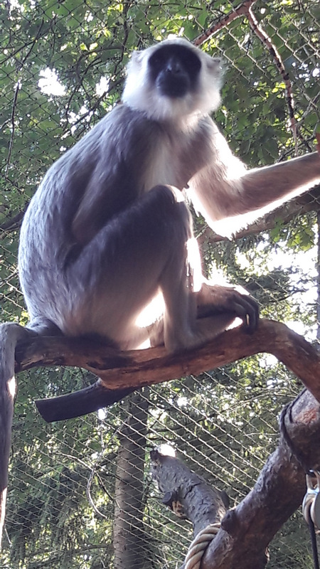 20160817_165511.jpg