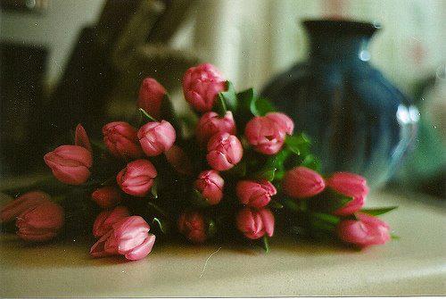 roses.jpg