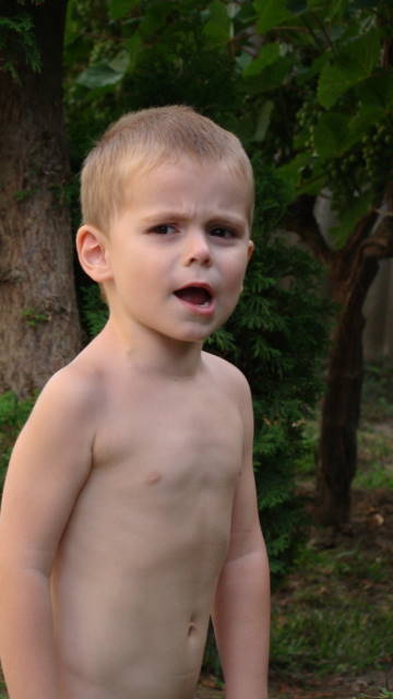 1ádám_1.jpg