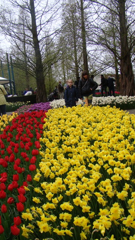 dsc01135.JPG