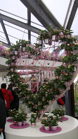 dsc01169.JPG