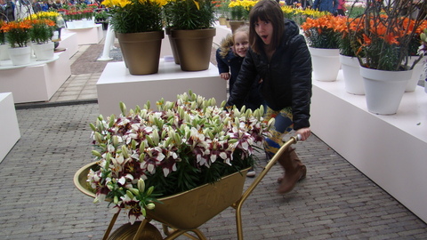dsc01225.JPG