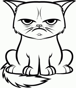grumpy_cat_drawing.jpg
