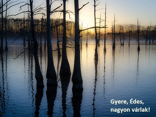 2_louisiana.png