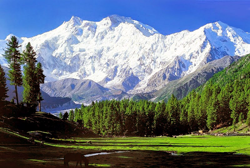 nanga-parbat.png
