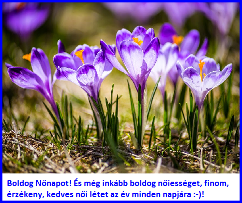 nonapi.png