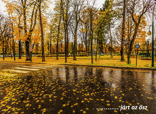 paris_raining_autumn_cityscape_8252181936.png