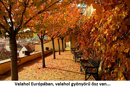 praga_osszel.png