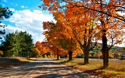 when-we-were-in-the-autumn.png