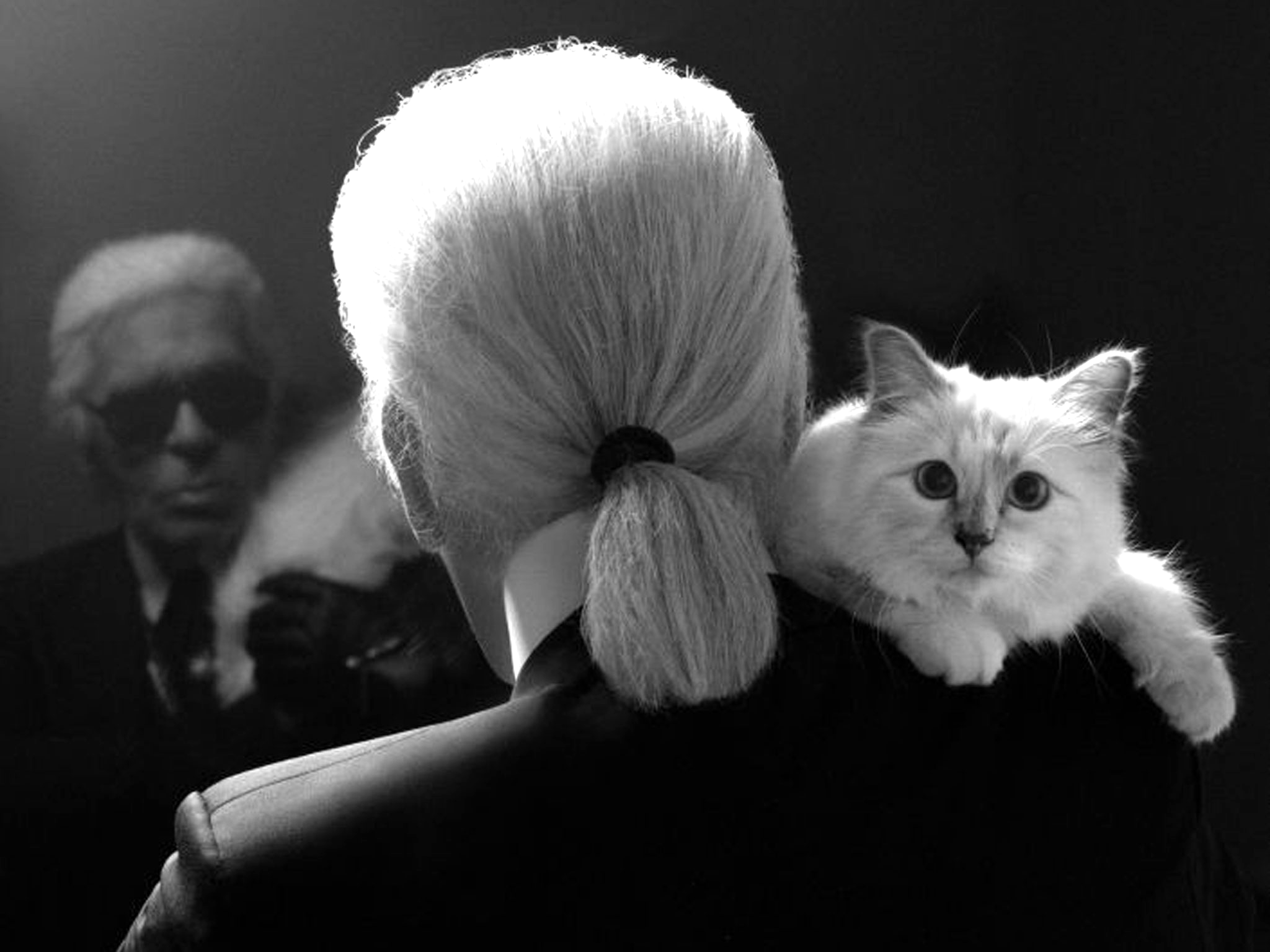 choupette.jpg