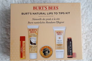 Burt's Bees Lips To Tips Kit csomag
