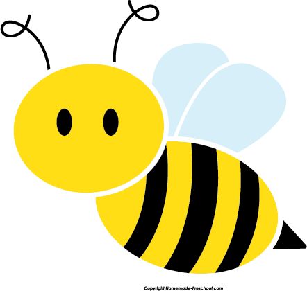 bee.jpg
