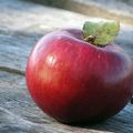 I. Alma (Malus domestica)