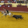 A bikák tánca- corrida de touros