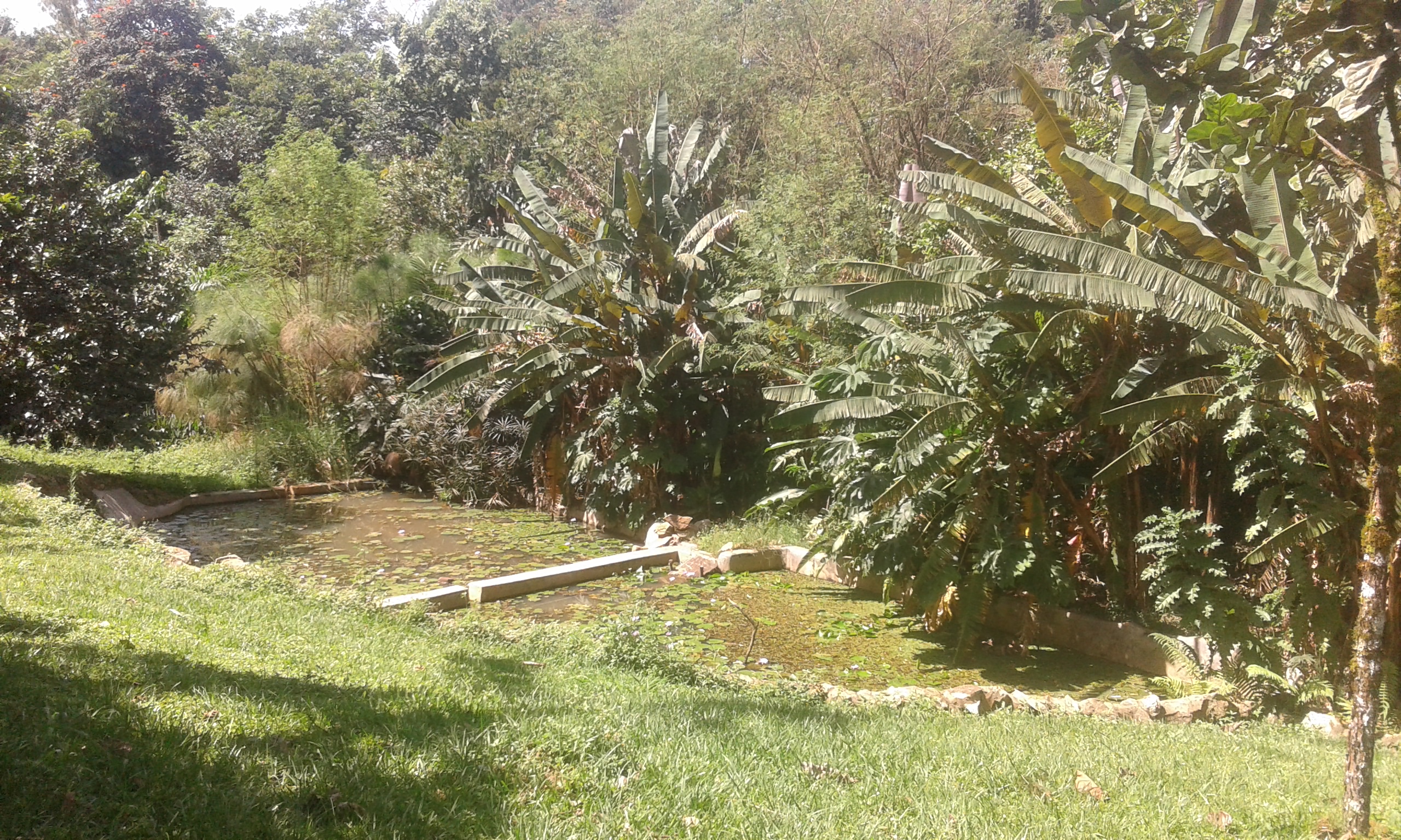 20171028_102600.jpg