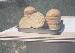 radabaugh30_6.jpg