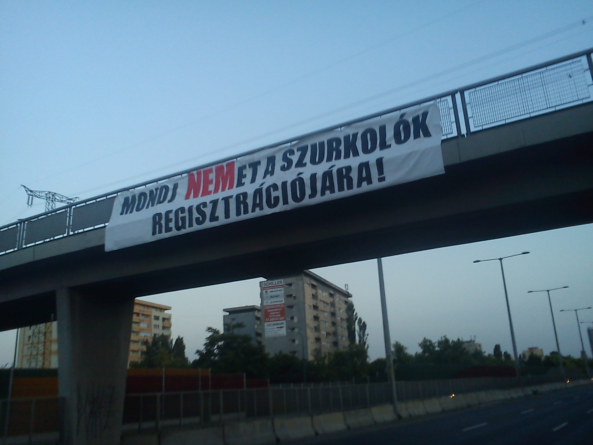 szurkoló.jpg