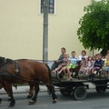 Ovis jótékonykodós családi nap