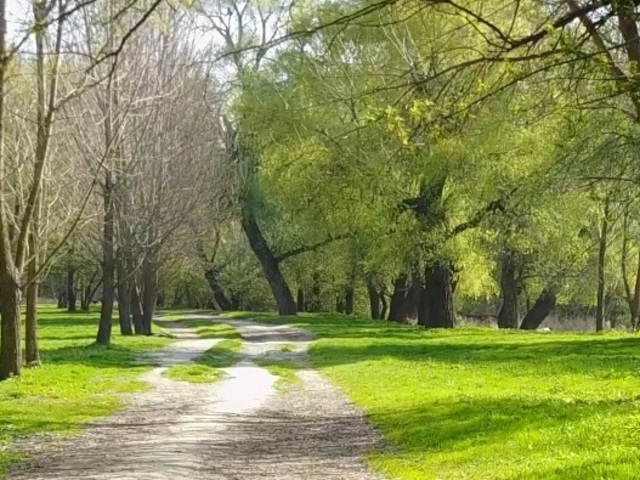 Lakótelep Kisorosziban, a Szigetcsúcson