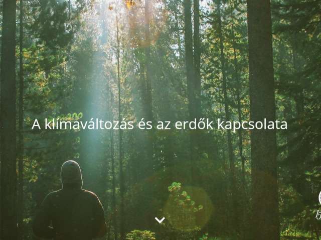 A klímaváltozás már a hazai erdők légkörét és élőhelyeit is megváltoztatja