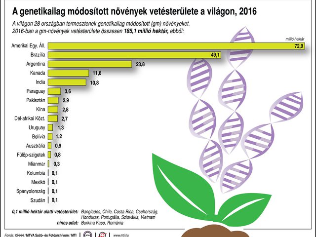 Fazekas Sándor: a növénytermesztés egyik kulcseleme a növényfajta kísérleti tevékenység