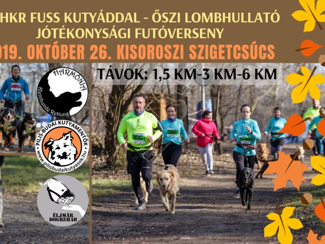 III. HKR FUSS KUTYÁDDAL, HOGY SEGÍTHESSÜNK