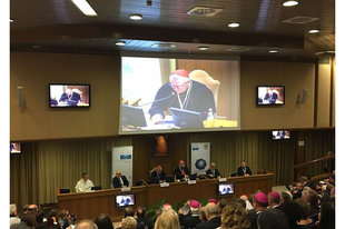 Ferenc pápa: Európában nem polgárokat, hanem szavazókat számolnak