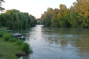 Kutatás készült a Mosoni-Duna, és az Ipoly vízgyűjtő területének ökoszisztémájáról