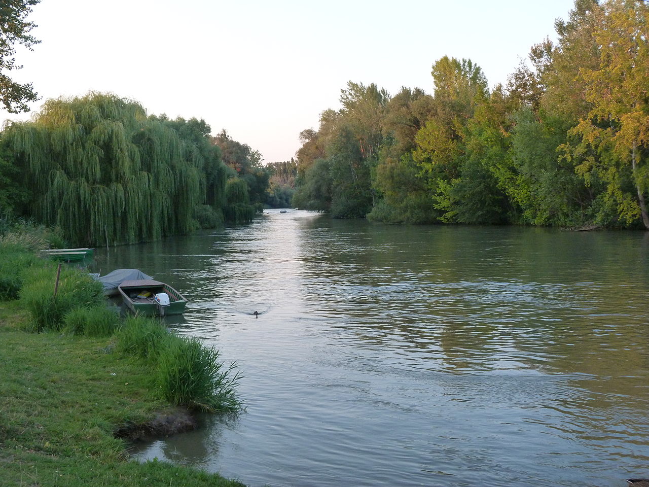 1280px-mosoni_duna_2013_08_18.JPG