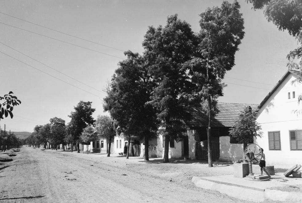 1955_hosok_tere_fortepan.jpg