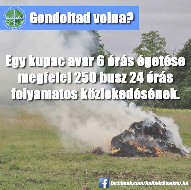 gondoltad-volna-egetes.jpg