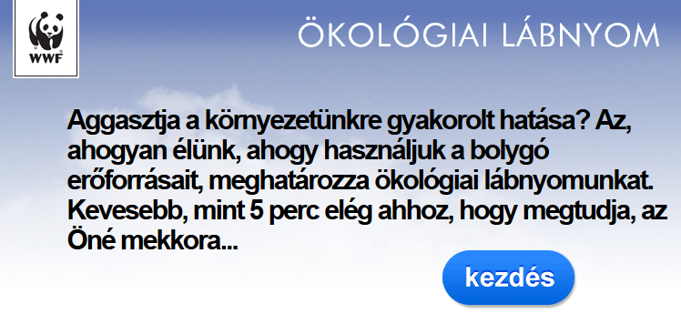 vagott_okoszamitas.png